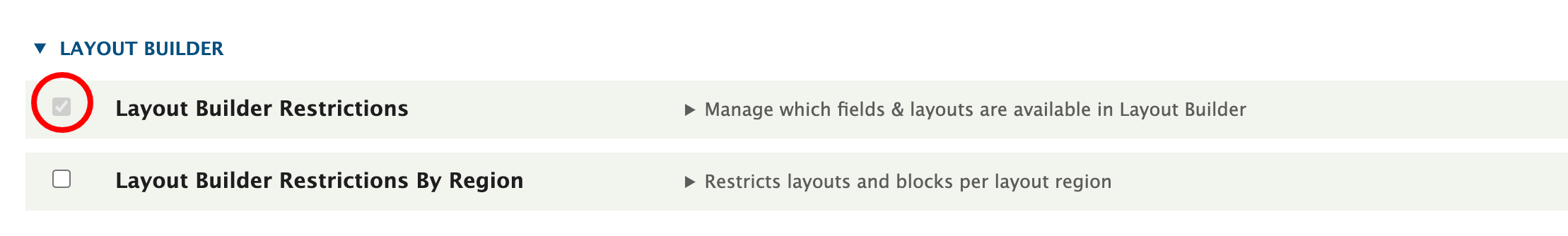 Layout Builder Restrictions 1